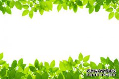 /news/cjwd/8144.html