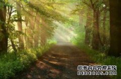 /news/cjwd/8227.html