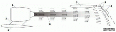 /news/cjwd/22011.html
