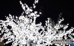 /news/cjwd/39706.html