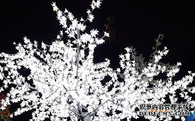 知识产权专利证书几年到期