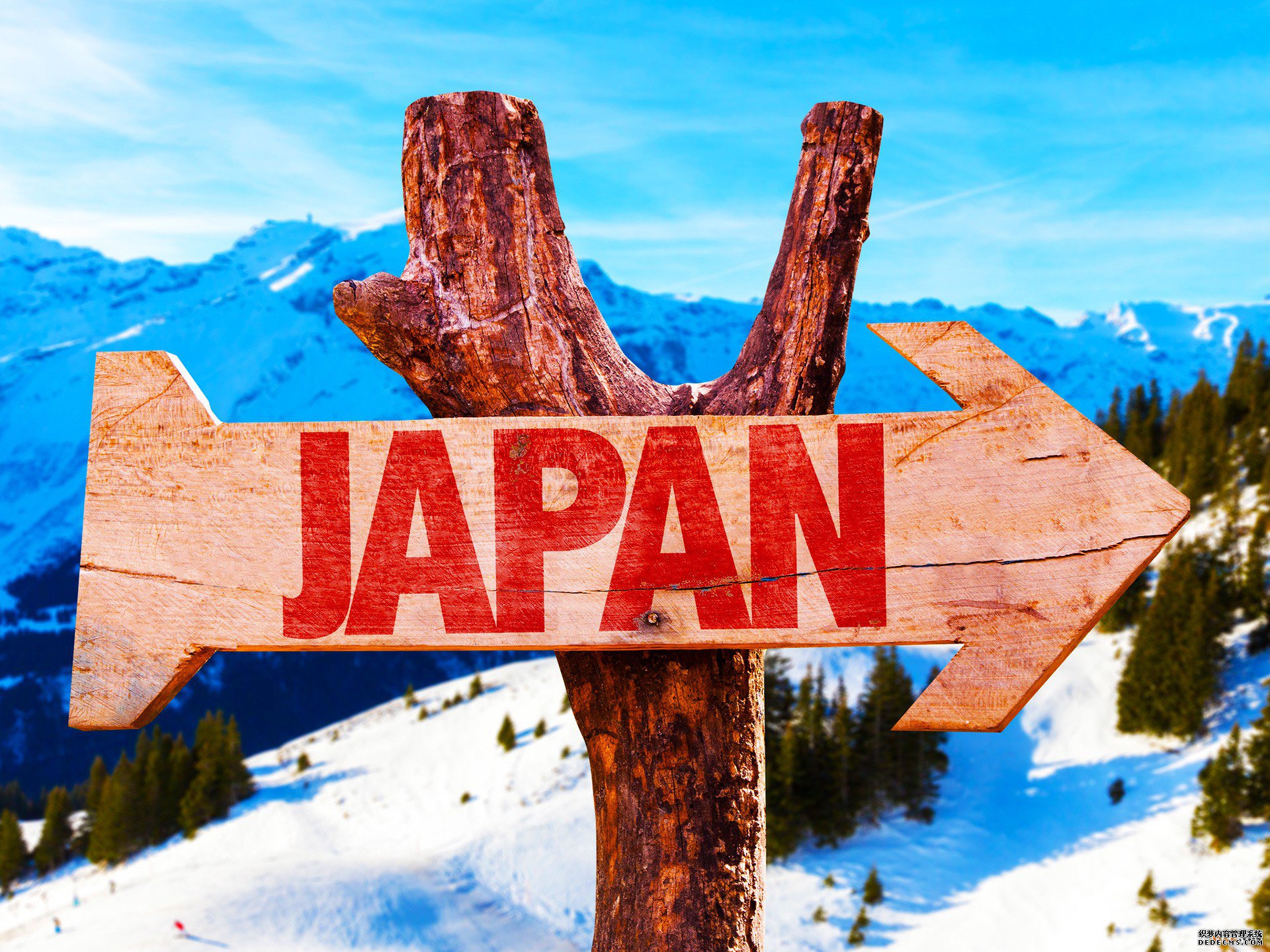 申请日本外观设计专利的流程是怎样的？