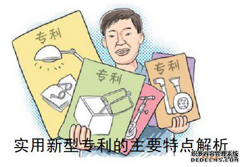 实用新型专利的主要特点解析