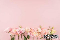 /news/cjwd/40422.html